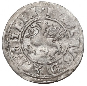 Pommern, Wit 1516, Stettin