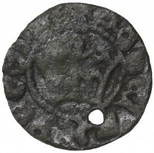Jan Olbracht, Half-penny without date, Cracow - a forgery of the period