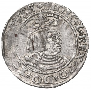 Sigismund I the Old, Groschen for Prussia 1528, Thorn