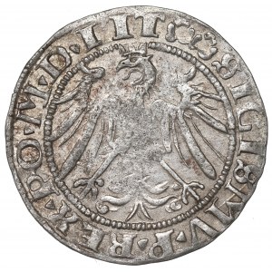 Sigismund I the Old, Groat 1536, Vilnius
