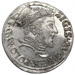 Sigismund II Augustus, 3 groschen 1547, Vilnius