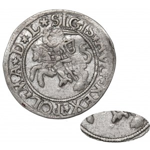 Sigismund II Augustus, Halfgroat w/d - RARE