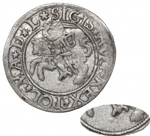 Sigismund II Augustus, Halfgroat w/d - RARE