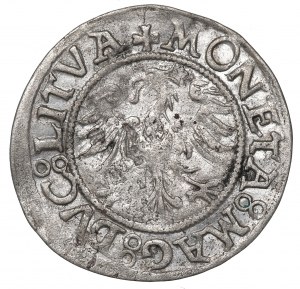 Sigismund II Augustus, Halfgroat w/d - RARE