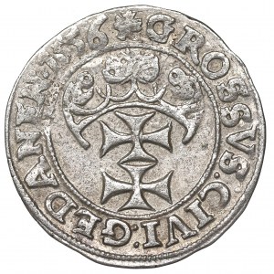Sigismund II Augustus, Groschen 1556, Danzig