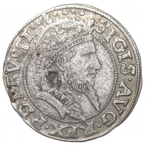 Sigismund II Augustus, Groschen 1556, Danzig