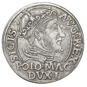Sigismund II Augustus, Groschen 1547
