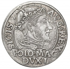 Sigismund II Augustus, Groschen 1547
