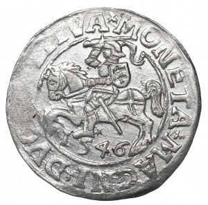 Sigismund II, Halfgroat 1546, Vilnius