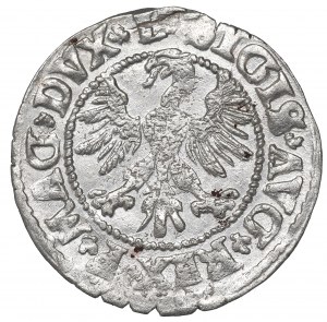 Sigismund II Augustus, Halfgroat 1546, Vilnius