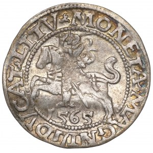 Sigismund II. Augustus, Halbpfennig 1565, Wilna - L/LITV