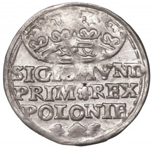 Sigismund I the Old, Grosz 1529, Kraków