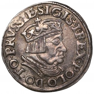 Sigismund I, 3 groschen 1536, Danzig