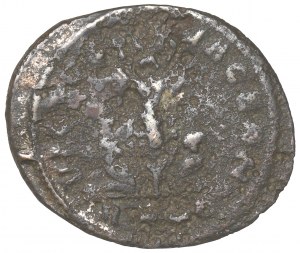 Roman Empire, Probus, Antonininan Roma