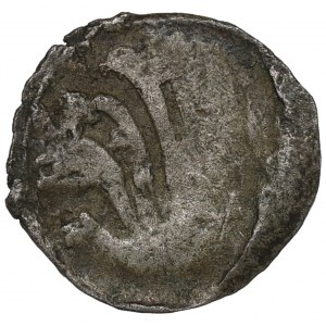 Pommern, Wollin, Denarius without date