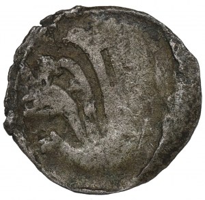 Pommern, Wollin, Denarius without date
