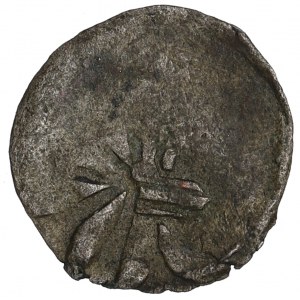 Pommern, Wollin, Denarius without date