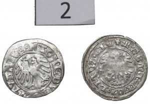 Alexander Jagellon, lot of Halfgroats without date, Vilnius