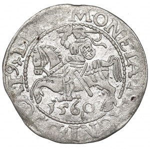 Sigismund II Augustus, Halfgroat 1560, Vilnius - LI/LITV