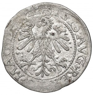 Sigismund II Augustus, Halfgroat 1560, Vilnius - LI/LITV