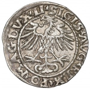 Sigismund II Augustus, Halfgroat 1552, Vilnius