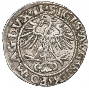 Sigismund II Augustus, Halfgroat 1552, Vilnius