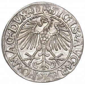 Sigismund II Augustus, Halfgroat 1548, Vilnius