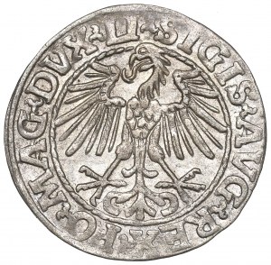 Sigismund II Augustus, Halfgroat 1548, Vilnius
