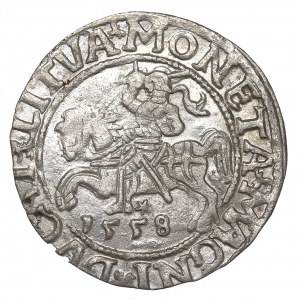Sigismund II Augustus, Halfgroat 1558, Vilnius