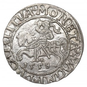 Sigismund II Augustus, Halfgroat 1558, Vilnius