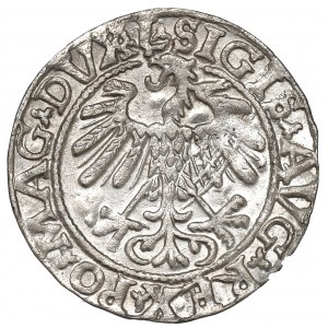 Sigismund II Augustus, Halfgroat 1558, Vilnius