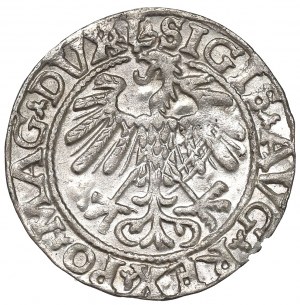 Sigismund II Augustus, Halfgroat 1558, Vilnius
