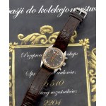 Switzerland, Eberhard & Co automatic watch, Navy Master - gold plating, steel