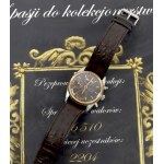 Switzerland, Eberhard & Co automatic watch, Navy Master - gold plating, steel