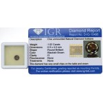 Diamond in brilliant cut 1.02 ct IGR