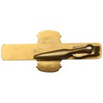 Poland, Patriotic tie pin Vilnius Lviv