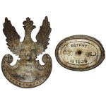 II RP, Eagle wz.19 with Zoch tumor