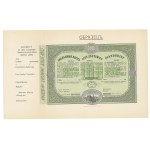 Pledge letter of the City of Lodz for 100 rubles - RZADKOŚC