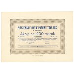 Pleszewskie Młyny Steamowe Tow. Akc. in Pleszew (Greater Poland)