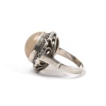 Warmet Warsaw, Author