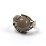 Agate Klodzko, Author