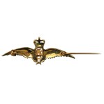 Great Britain, Royal Air Force Badge - Gold