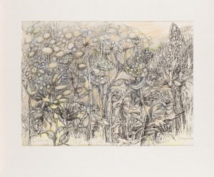 Maria BIERZYŃSKA-RYDZEWSKA (ur. 1928), Łąka, 1982