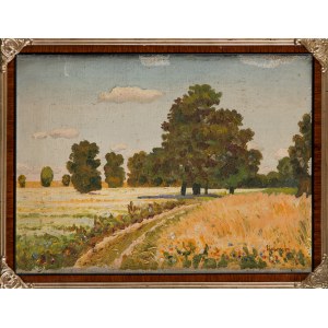 Malíř neurčen, Polský (20. století), Krajina