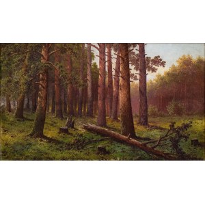 Józef GURANOWSKI, SOSNOWY LAS, 1913