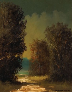 Jarosław WOJTKOWIAK, OLCHY