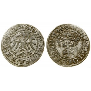 Polska, szeląg, 1546, Gdańsk