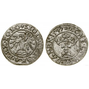 Polska, szeląg, 1547, Gdańsk
