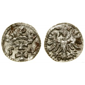 Polska, denar, 1554, Gdańsk