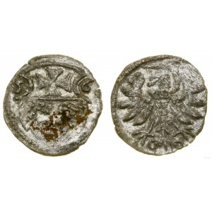 Poland, denarius, 1556, Elbląg